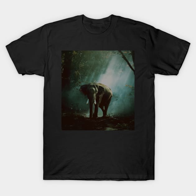 Modern minimalist elephant in wildlife T-Shirt by ArtoTee